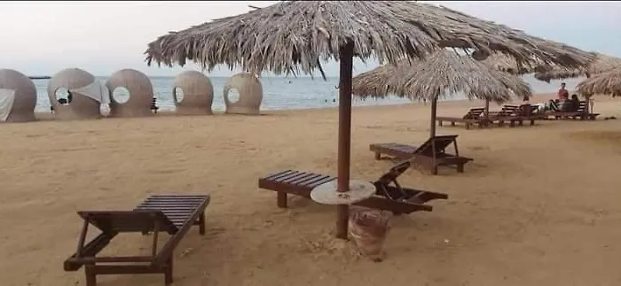 Palma Send What's Hurghada