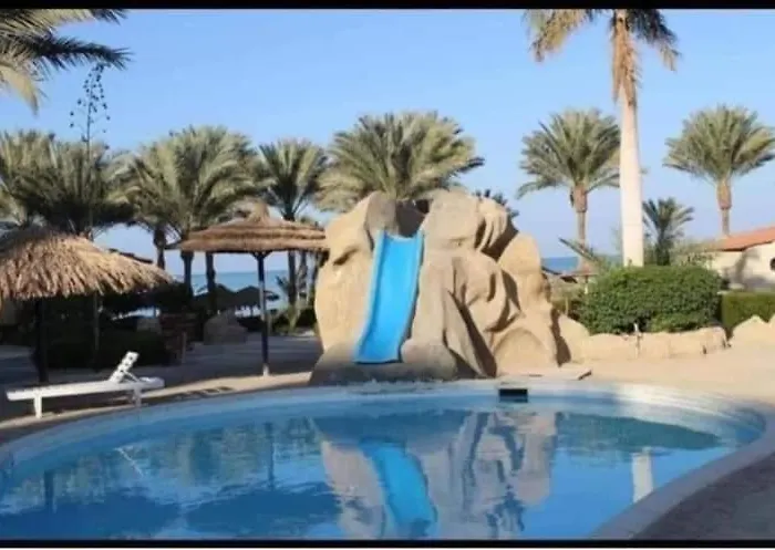 Hotel Palma Send What's 5*